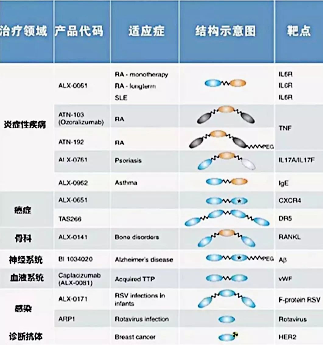 行研 | 納米抗體 – 抗體界的“百變星君”，如何突破抗體藥的激烈重圍？-肽度TIMEDOO